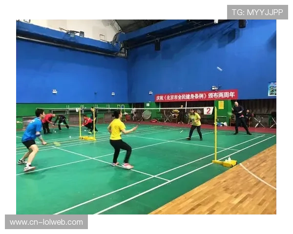 羽毛球运动在数字时代的生存与发展之道